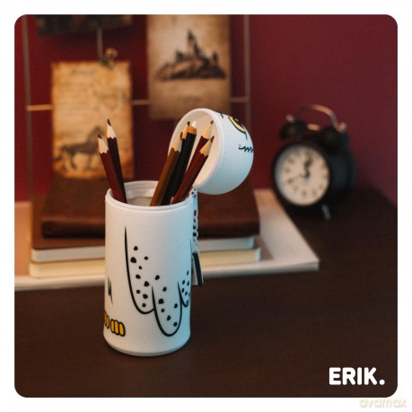 Harry Potter: Erik - Edvige (Astuccio 3d)