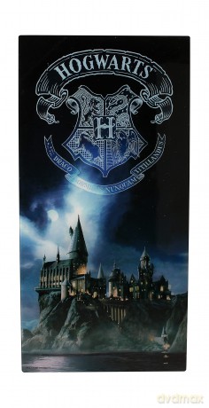 Harry Potter: Hogwarts 30 X 60 Cm Glass Poster