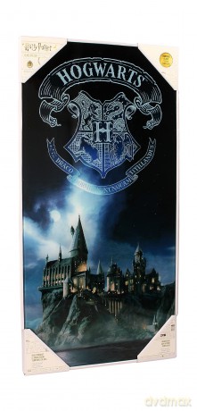 Harry Potter: Hogwarts 30 X 60 Cm Glass Poster