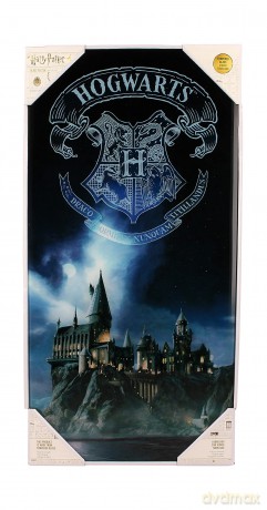 Harry Potter: Hogwarts 30 X 60 Cm Glass Poster