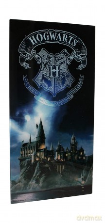 Harry Potter: Hogwarts 30 X 60 Cm Glass Poster