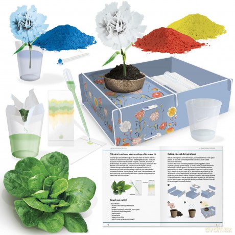 Headu: La Mia Botanica Creativa