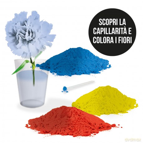 Headu: La Mia Botanica Creativa