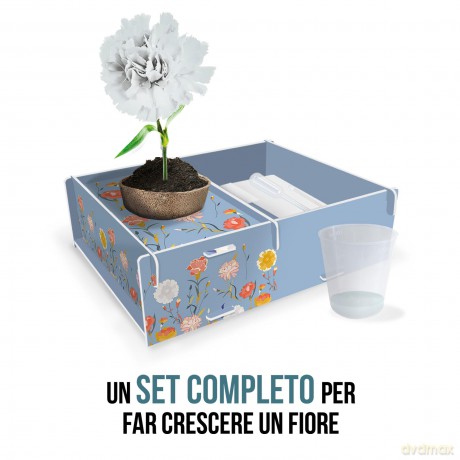 Headu: La Mia Botanica Creativa