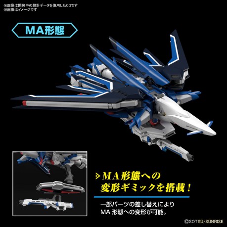 High Grade Gundam Rising Freedom STTS-909 1/144