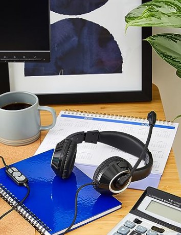 Home Audio Cuffie Professinali