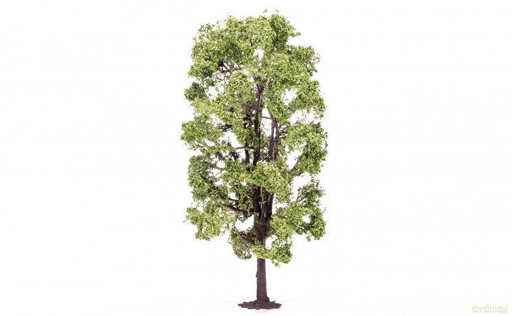 Hornby Lime Tree