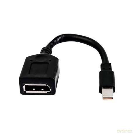 Hp Single Minidp To Dp Adapter