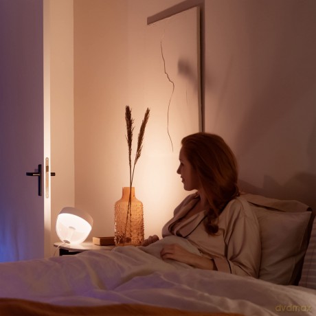 Hue Iris Lampada Wireless White