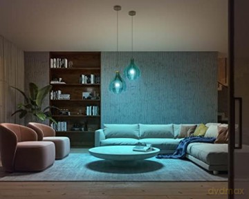 Hue White And Color Ambiance Lampad