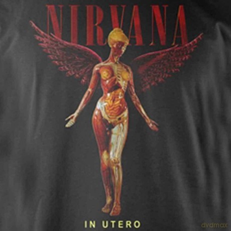 In Utero