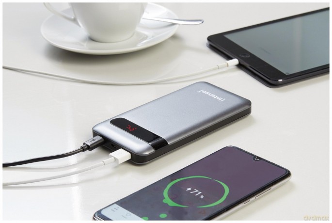 Intenso Powerbank Pd10000