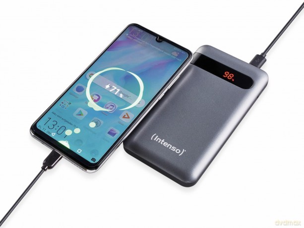 Intenso Powerbank Pd10000