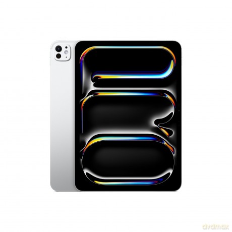 Ipad Pro 11 Wf 256gb Std Slv