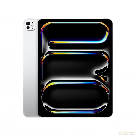 Ipad Pro 13 Wf Cl 256gb Std Slv