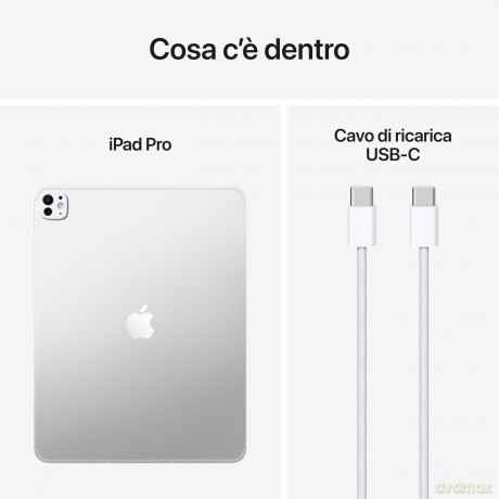 Ipad Pro 13 Wf Cl 256gb Std Slv