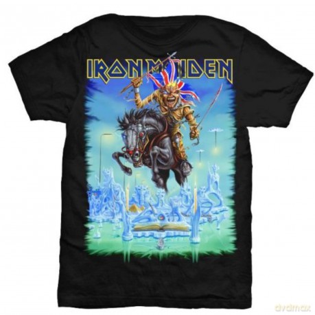 Iron Maiden Men's Tee: Tour Trooper (Back Print) (Small)