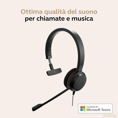 Jabra Evolve 20 Mono Ms Usb C/A