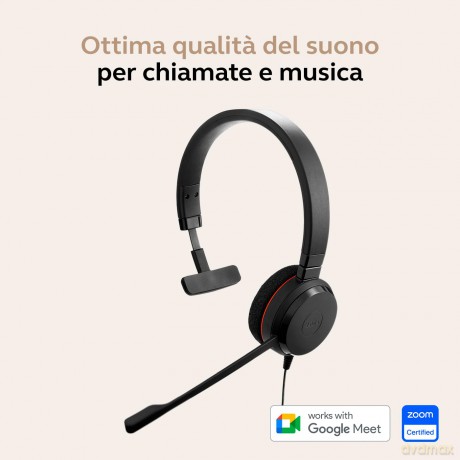 Jabra Evolve 20 Mono Uc Usb C/A