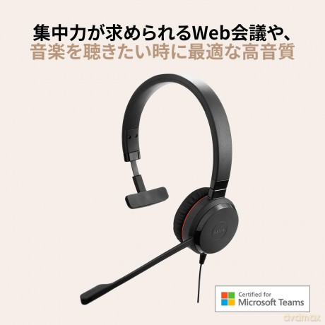 Jabra Evolve 20 Se Mono Ms Usb