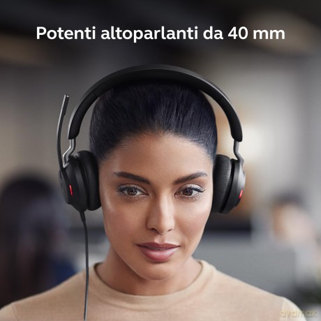 Jabra Evolve2 40 Se Usb C/A Uc Stereo