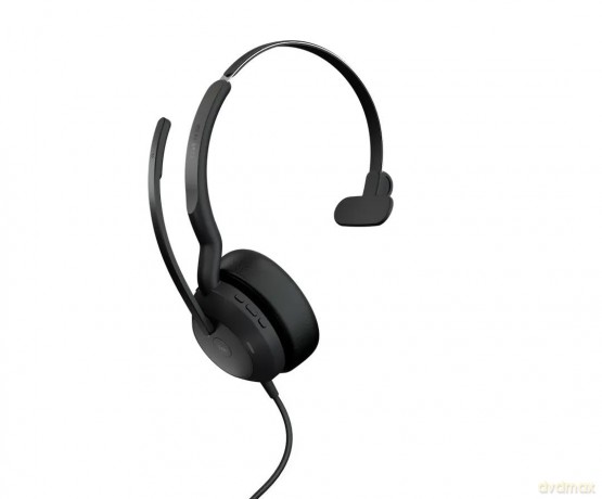 Jabra Evolve2 50 Usb C/A Ms