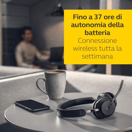 Jabra Evolve2 65 Stereo Uc + Link 380 Usb-C, Schwa
