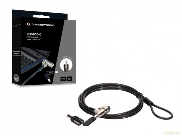 Keyed Laptop Lock, Standard Securit