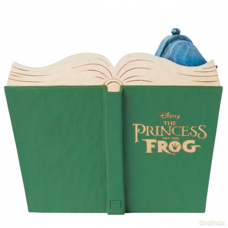 La Principessa e Il Ranocchio Libro Di Fiabe