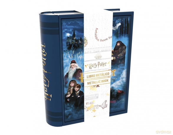 Libro metallico Contenitore Harry Potter e Pietra Filosofale
