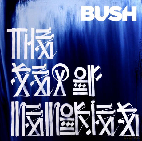 Bush: The Sea Of Memories [Winyl]