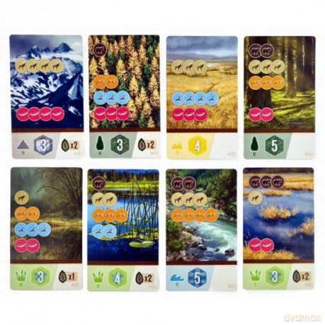 Little Rocket Games: Cascadia Rolling Hills