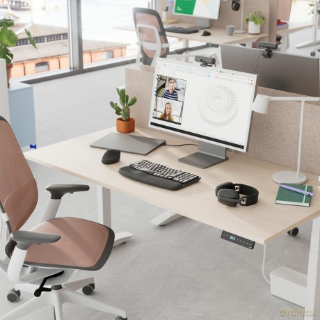 Logitech Brio 505-Graphite