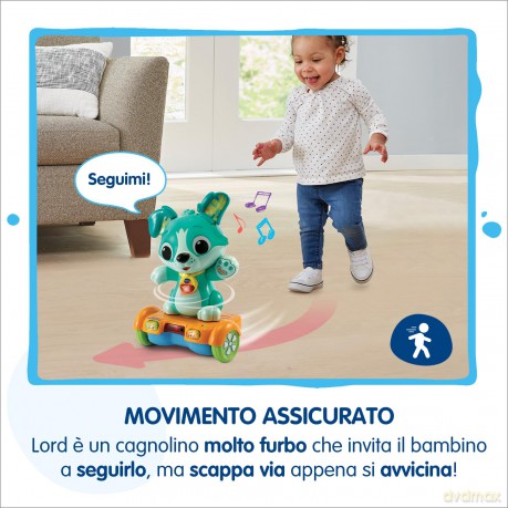 Lord Cucciolo In Hoverboard