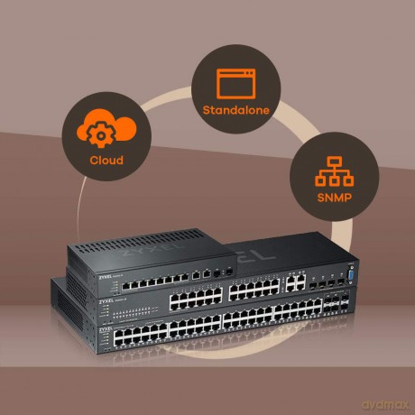 Managed Layer 3 Lite 44porte