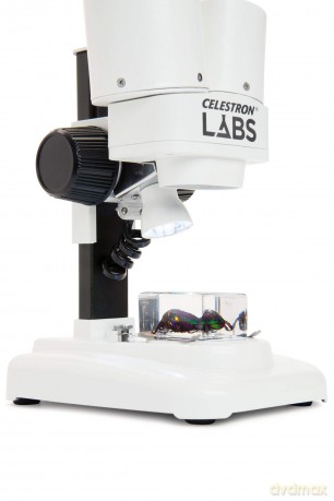 Microscopio Labs S20
