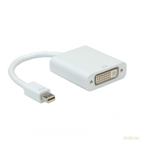 Mini Displayport-Dvi