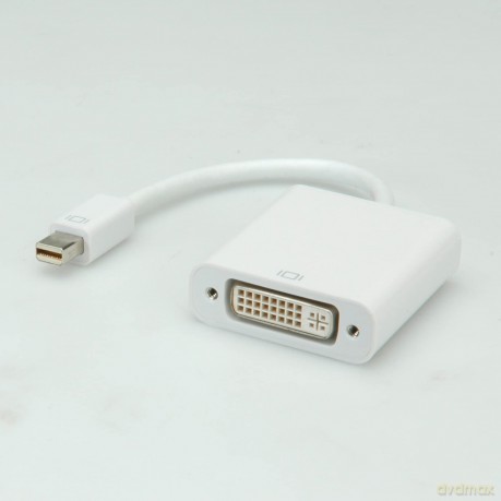 Mini Displayport-Dvi