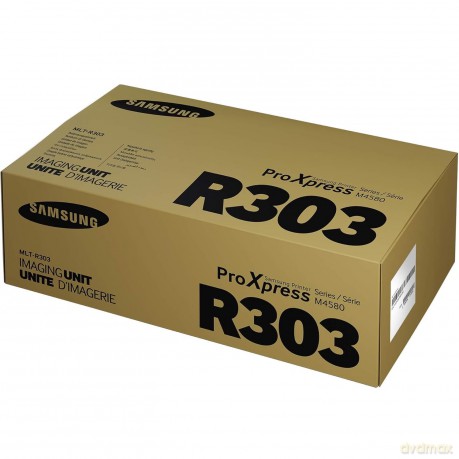Mlt-R303/See Drum
