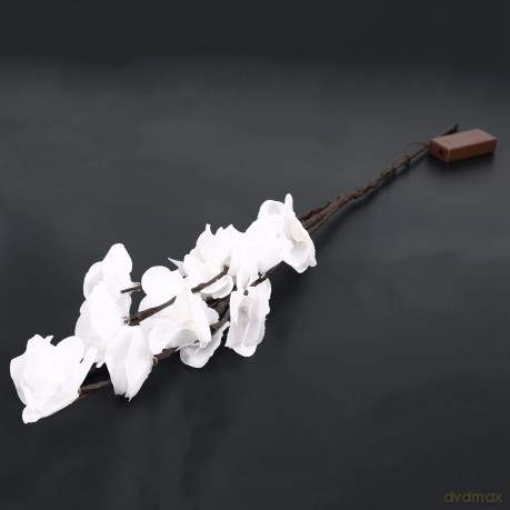 Modern Am242 1m-1252xit