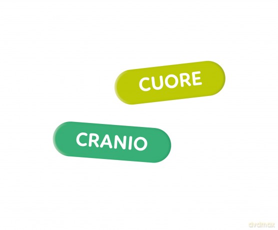 Montessori - Il Corpo Umano