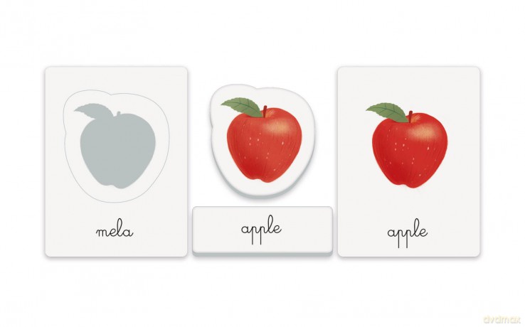 Montessori - Primo Inglese
