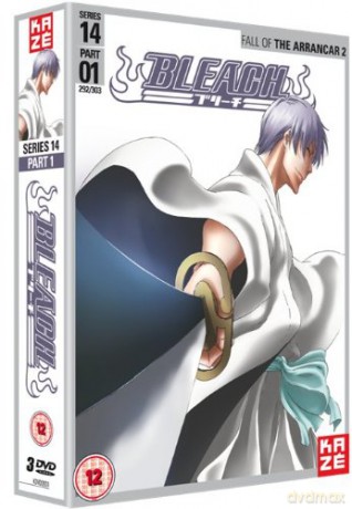 Bleach Season 14 Part 1 [3DVD]