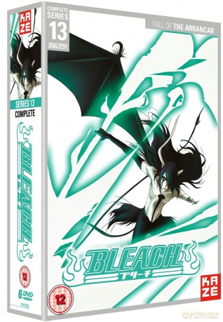 Bleach Season 13 [5DVD]