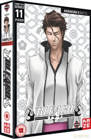 Bleach Season 11 [2DVD]