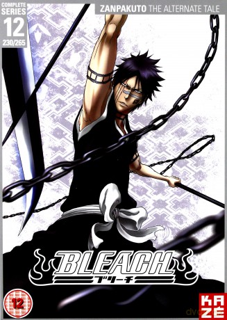 Bleach Season 12 [6DVD]