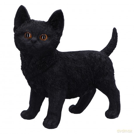 Nemesis Now: Charmed Companion 20cm