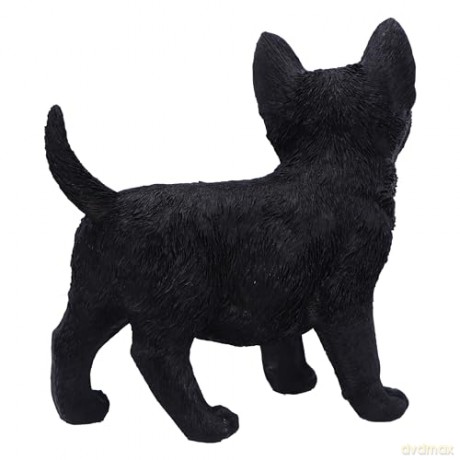 Nemesis Now: Charmed Companion 20cm