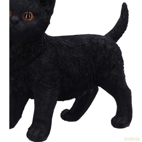Nemesis Now: Charmed Companion 20cm
