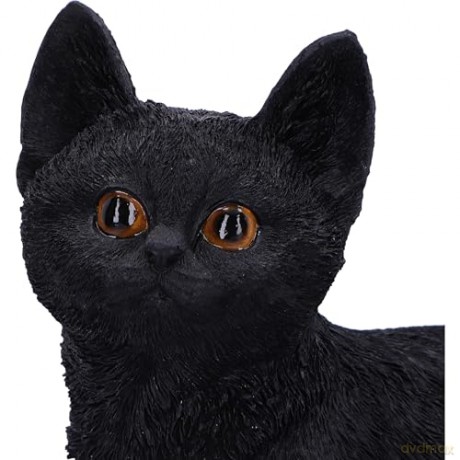 Nemesis Now: Charmed Companion 20cm